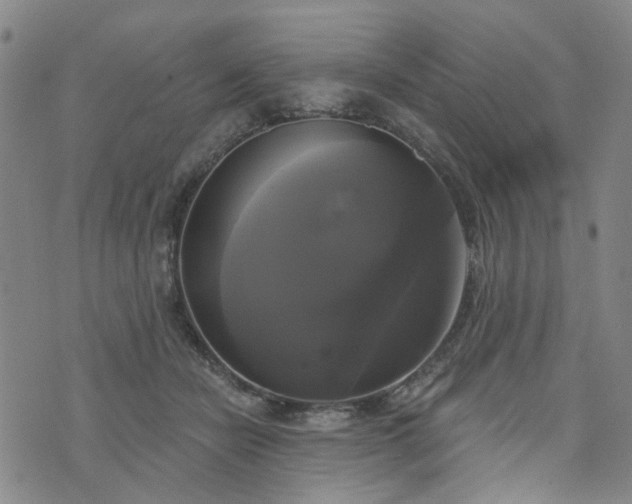 X0000076380462200610161119