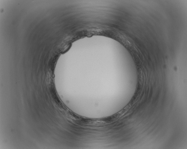 X0000076380463200610161119