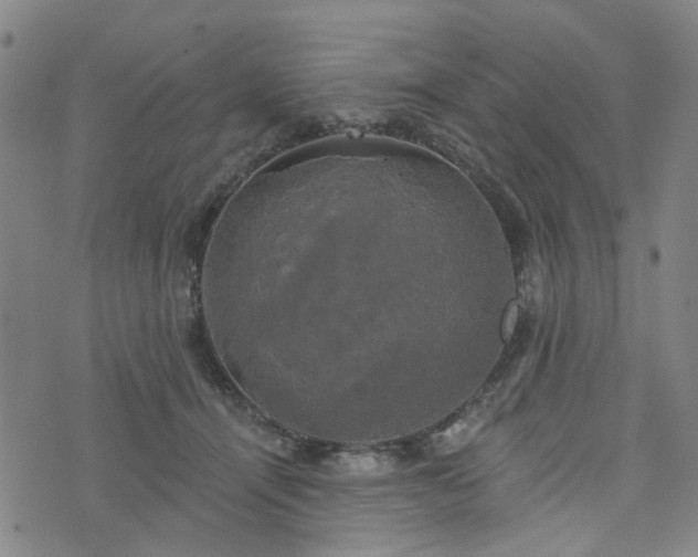 X0000076380464200610161119