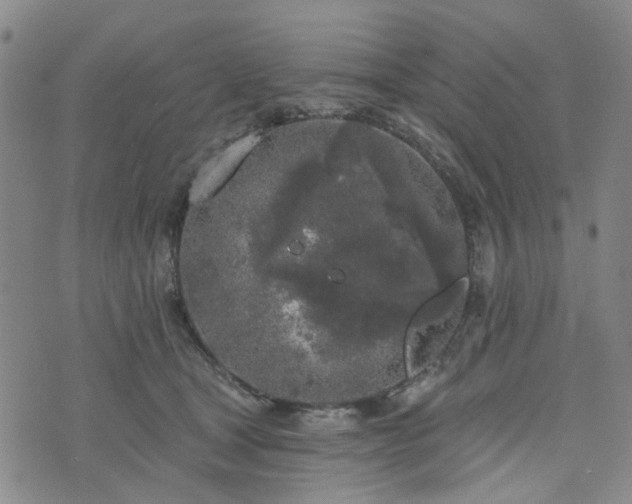 X0000076380465200610161119