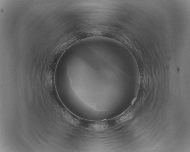 X0000076380466200610161119