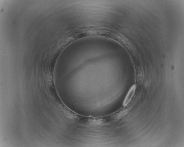 X0000076380469200610161119