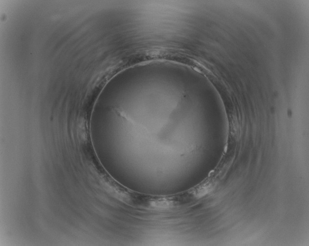 X0000076380470200610161119