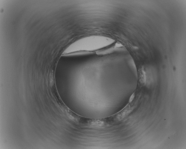 X0000076380471200610161119