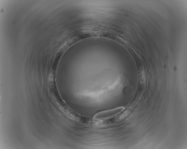 X0000076380472200610161119