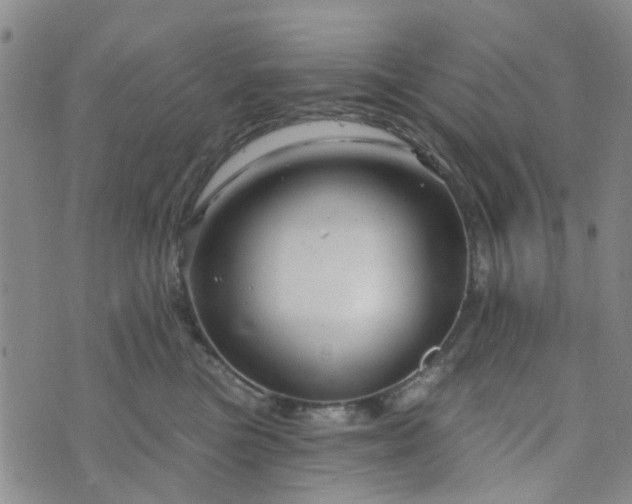 X0000076380473200610161119