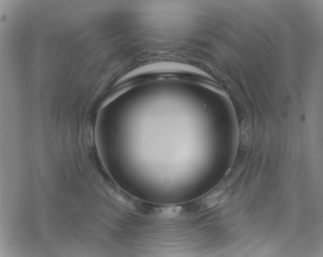 X0000076380474200610161119