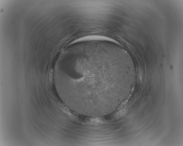 X0000076380475200610161119