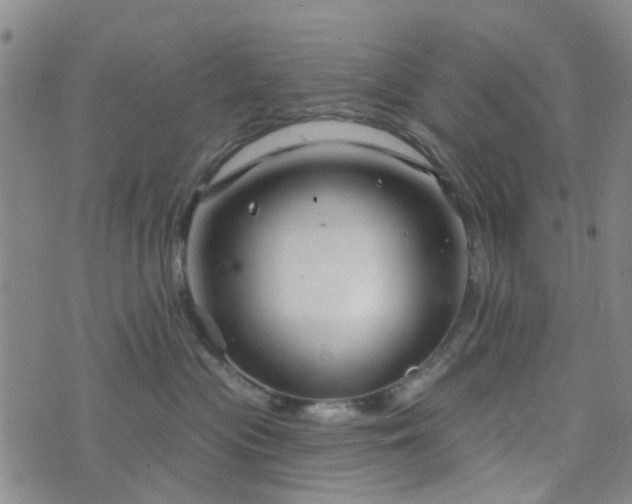 X0000076380477200610161119