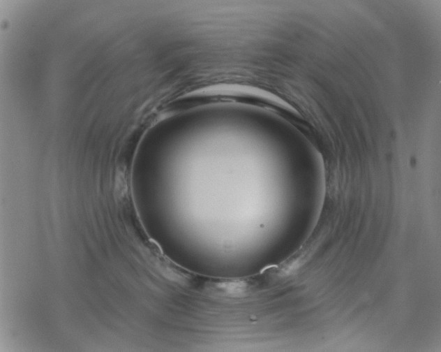 X0000076380478200610161119