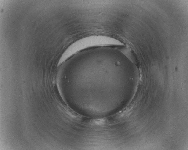 X0000076380479200610161119