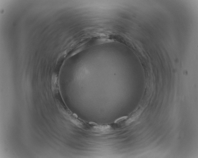 X0000076380480200610161120