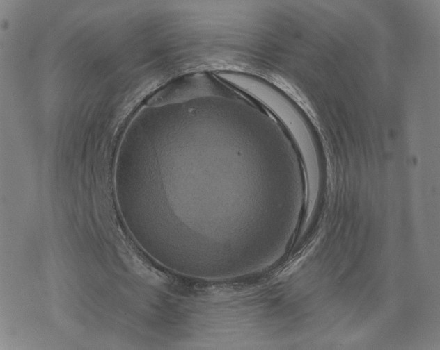 X0000076380481200610161119