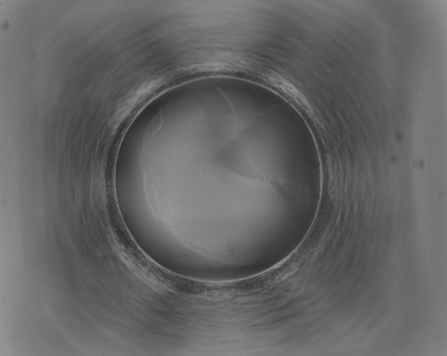 X0000076380482200610161119