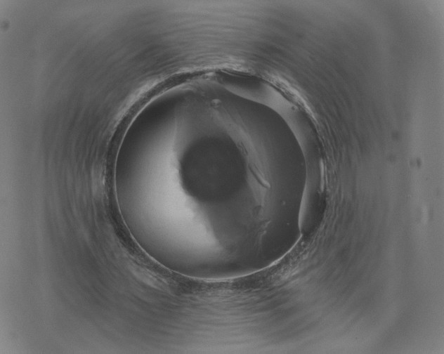 X0000076380483200610161119