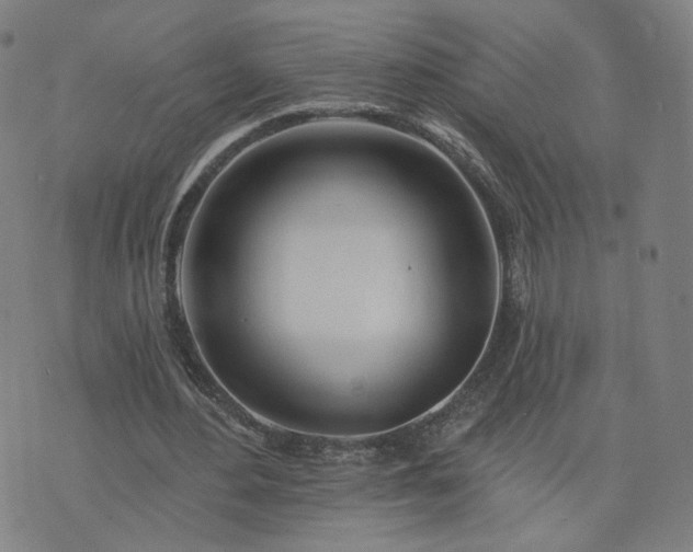 X0000076380484200610161119