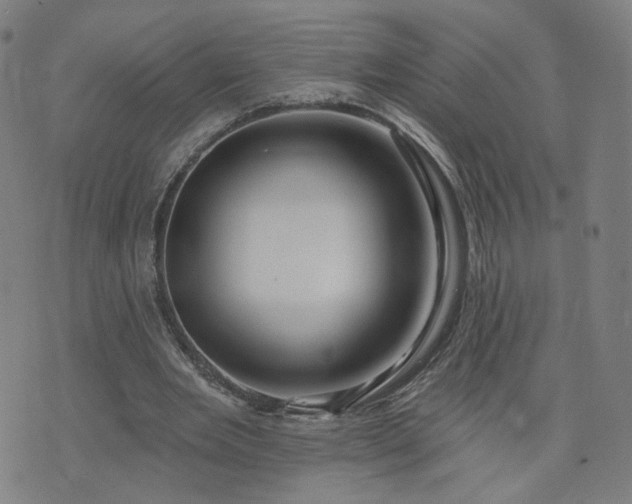 X0000076380485200610161119