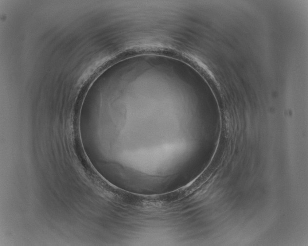 X0000076380487200610161119