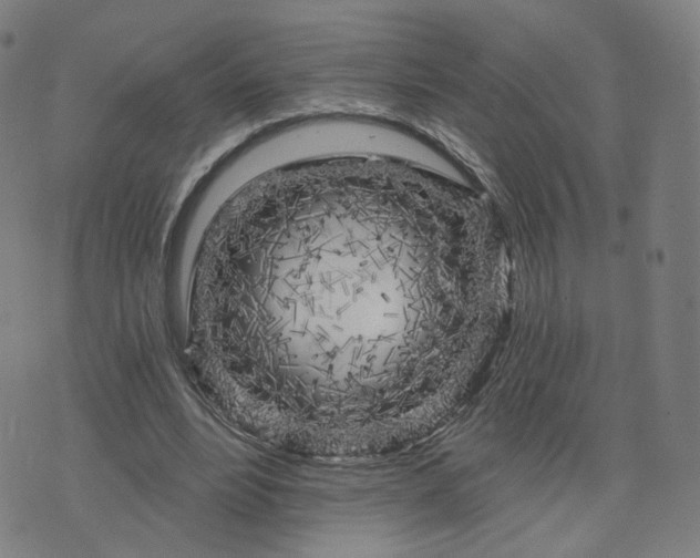 X0000076380488200610161119