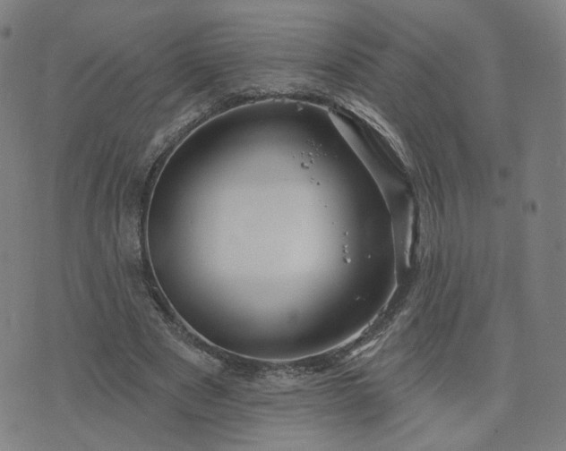 X0000076380489200610161119