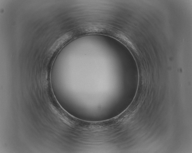 X0000076380490200610161119