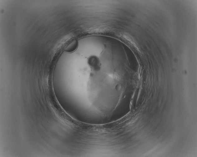 X0000076380491200610161119