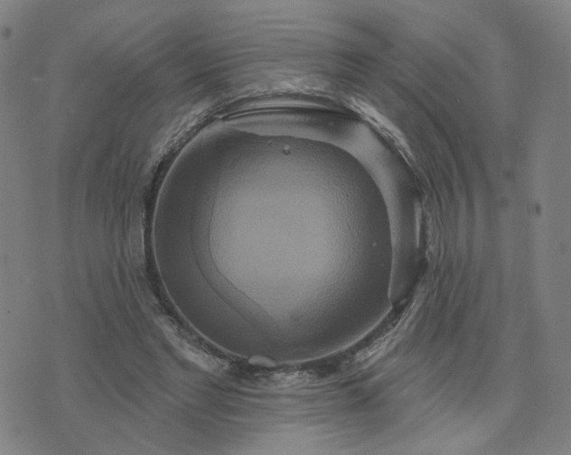 X0000076380493200610161119