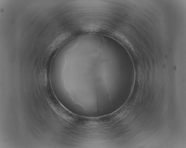 X0000076380494200610161118