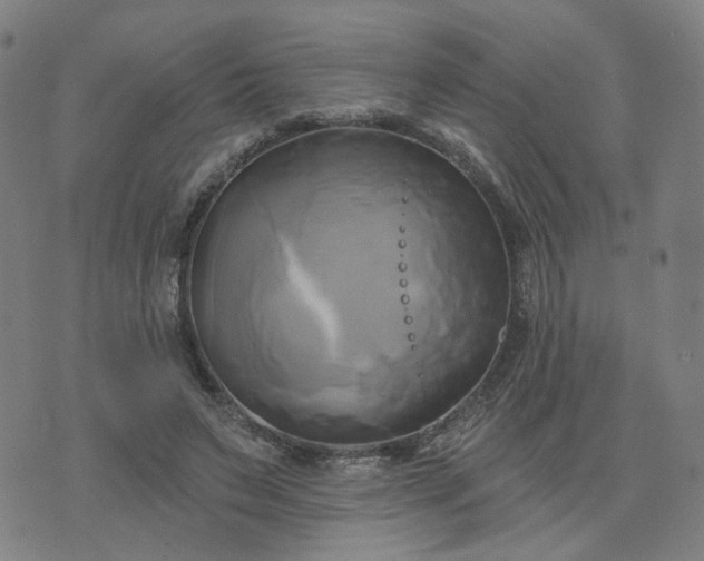 X0000076380495200610161118