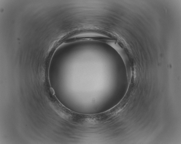 X0000076380496200610161118