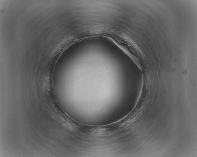 X0000076380497200610161118