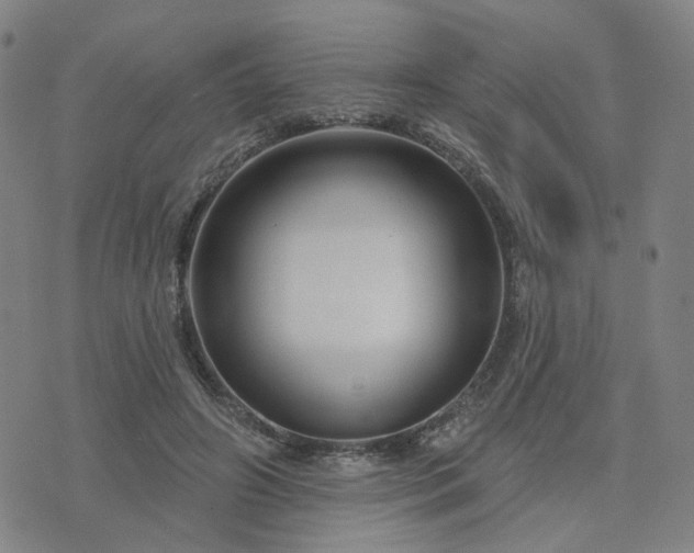 X0000076380498200610161118