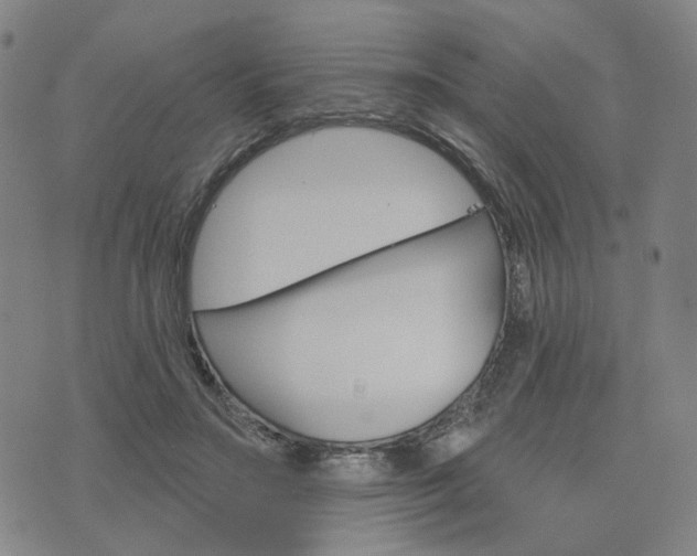 X0000076380499200610161118