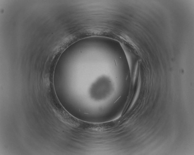 X0000076380500200610161118