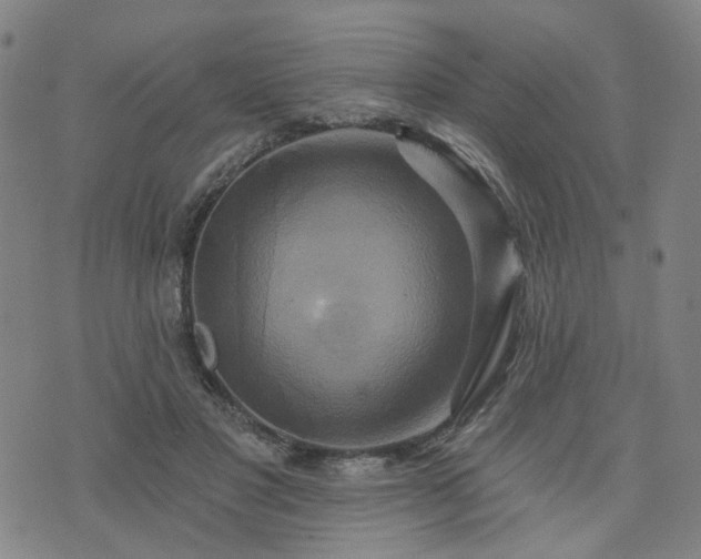 X0000076380501200610161118