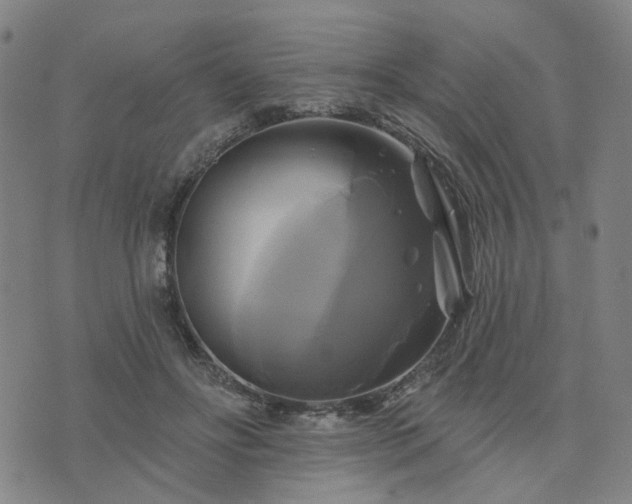 X0000076380502200610161118