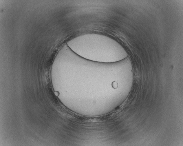 X0000076380503200610161118