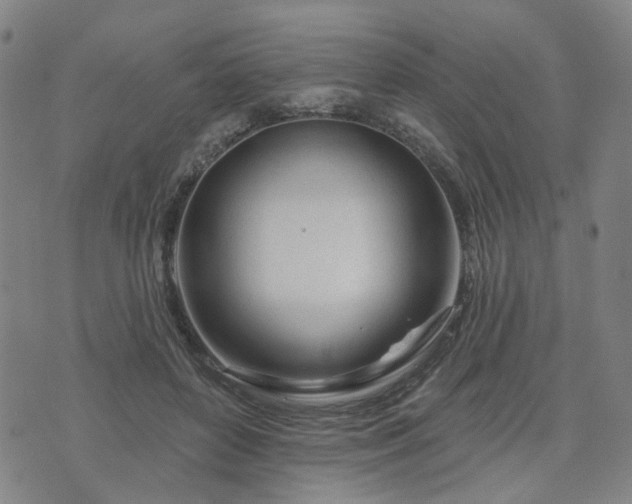 X0000076380504200610161118