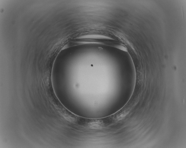 X0000076380505200610161118