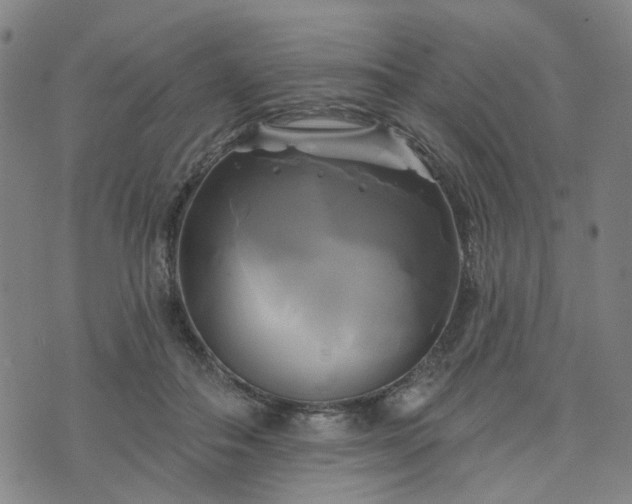 X0000076380506200610161118