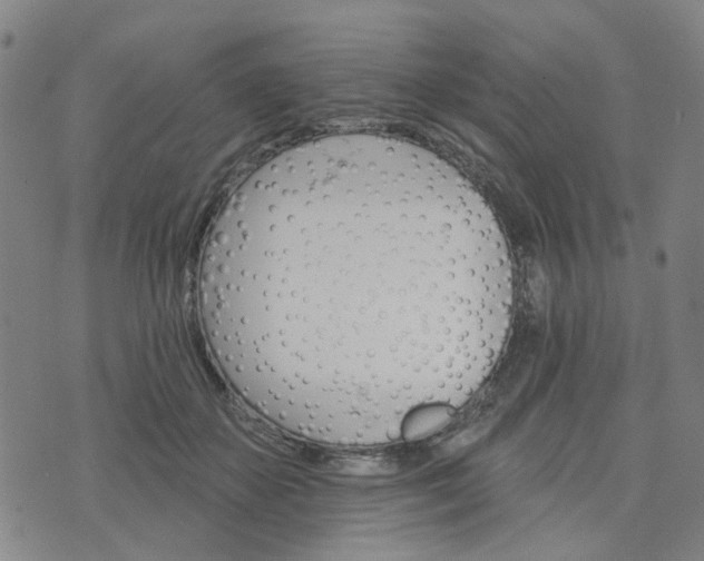 X0000076380507200610161118