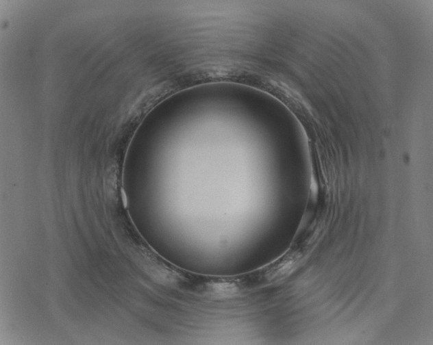 X0000076380509200610161118