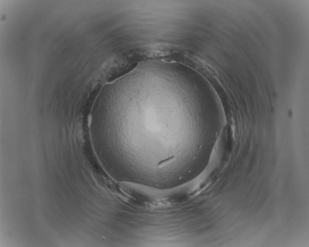 X0000076380512200610161118