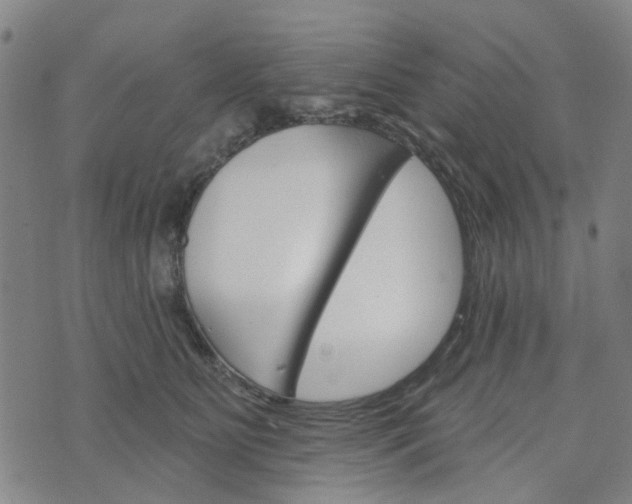 X0000076380515200610161118