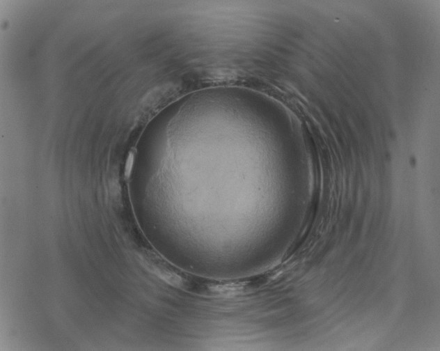 X0000076380516200610161118