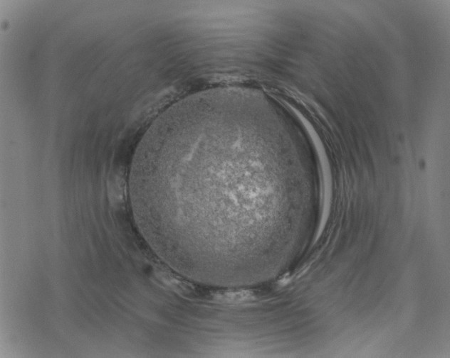 X0000076380517200610161118