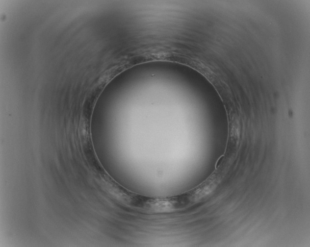 X0000076380518200610161118