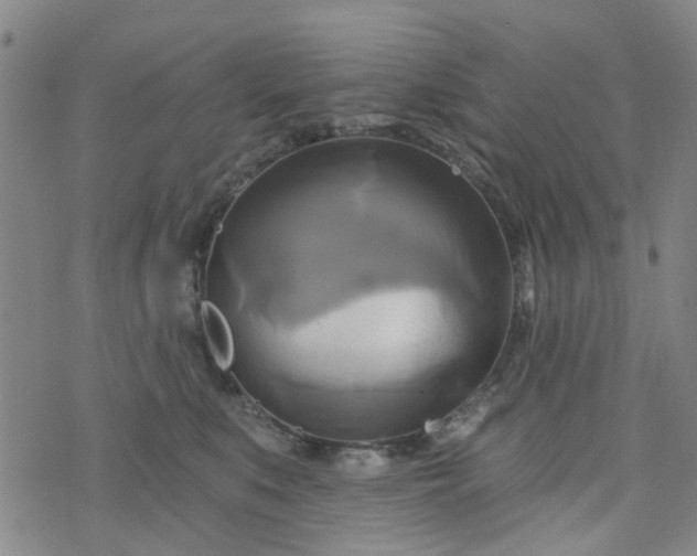 X0000076380519200610161118