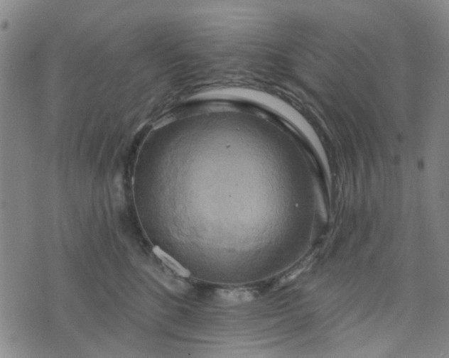 X0000076380520200610161118