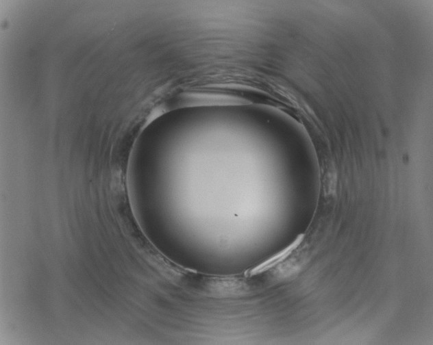 X0000076380521200610161118